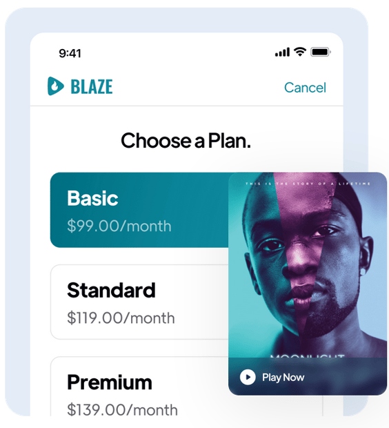 Subscription managment